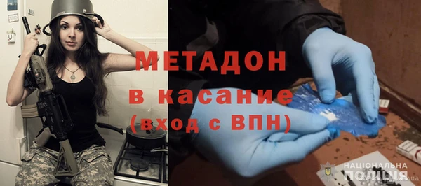шишки Абаза