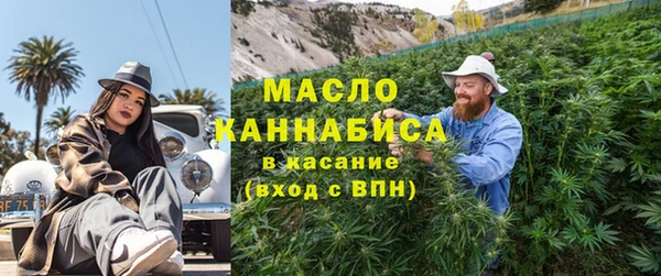 шишки Абаза