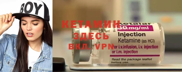шишки Абаза