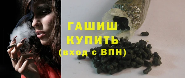 шишки Абаза