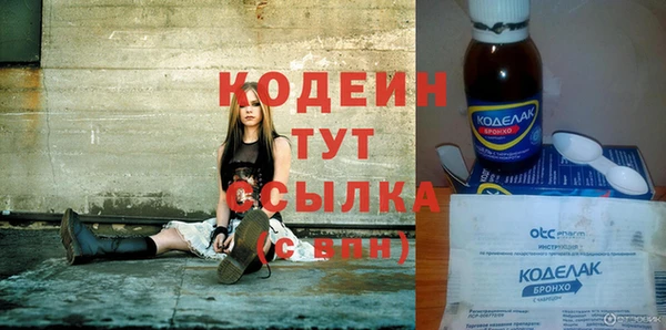 шишки Абаза