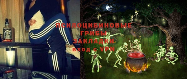 шишки Абаза