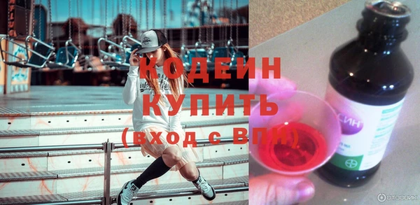 шишки Абаза