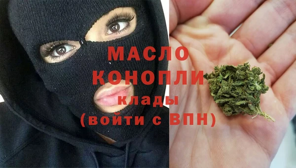 шишки Абаза