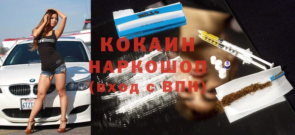шишки Абаза