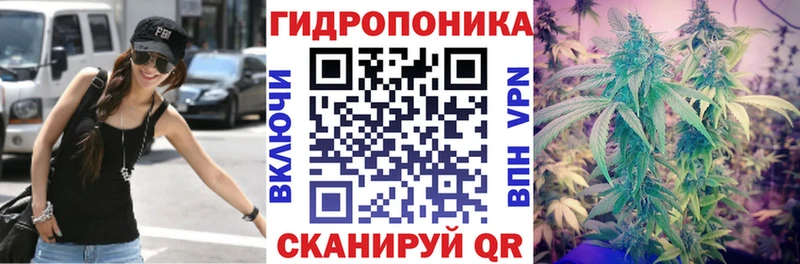 купить наркоту  Чебаркуль  гидра как войти  Бошки марихуана OG Kush 